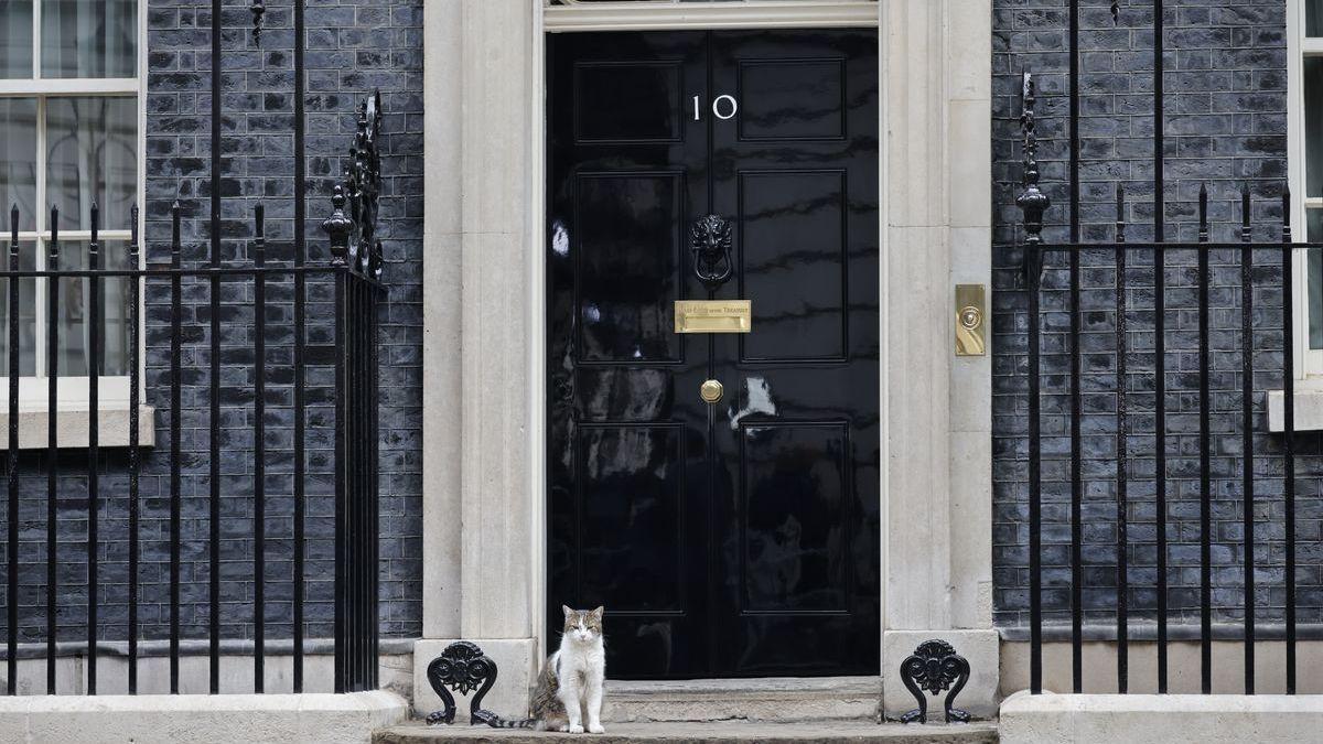 Larry the cat davant el 10 de Downing Street