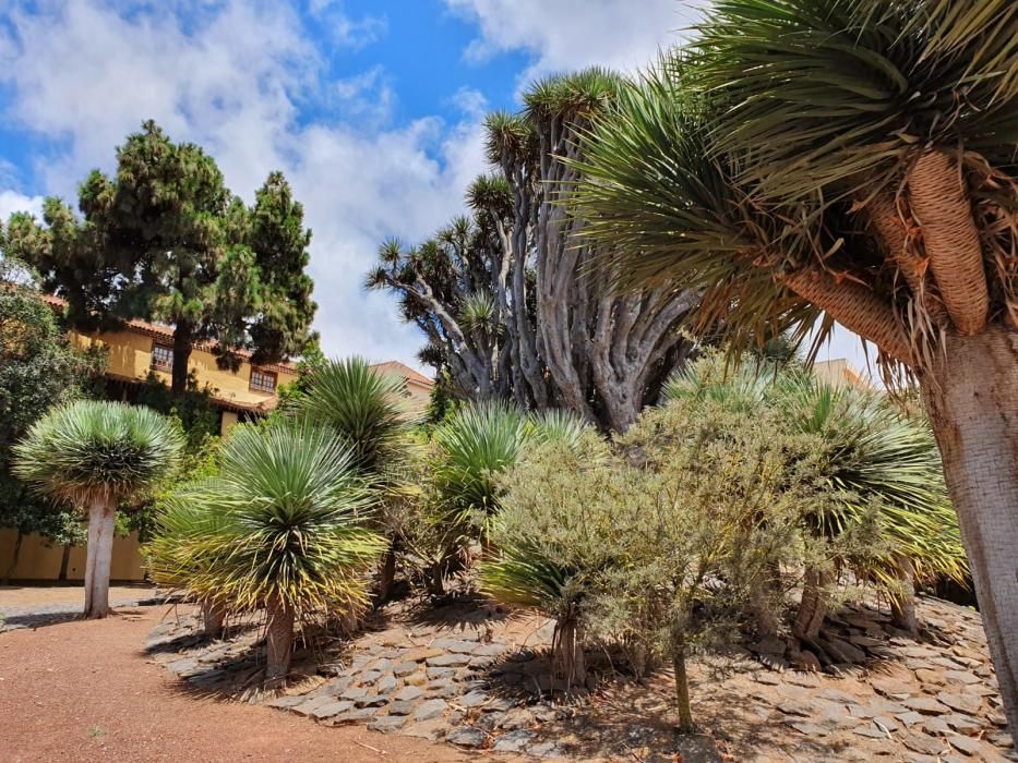 Pasado y presente del Jardín del Drago