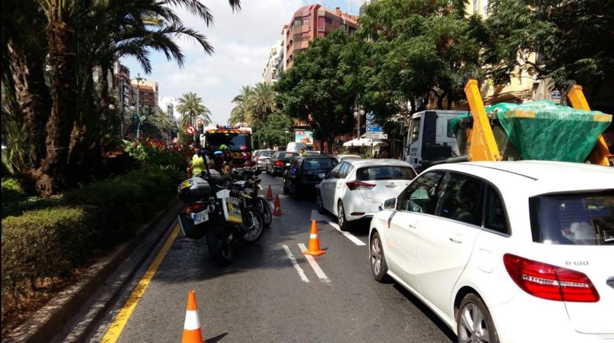Cae una palmera en Marqués del Túria, en Valencia.