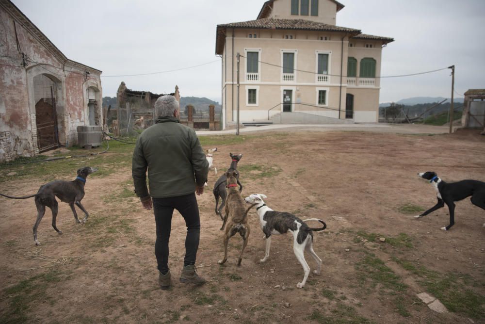 Cavalls i gossos a la torre Lluvià