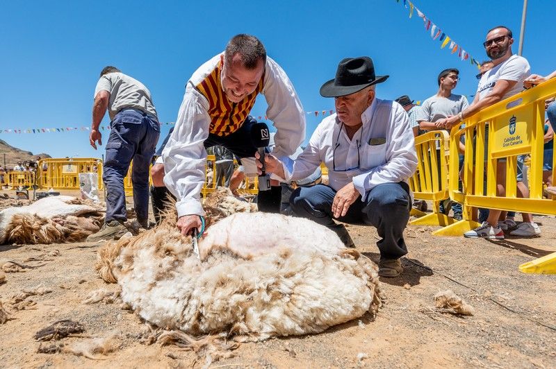 Fiesta de la Lana en Caideros 2022