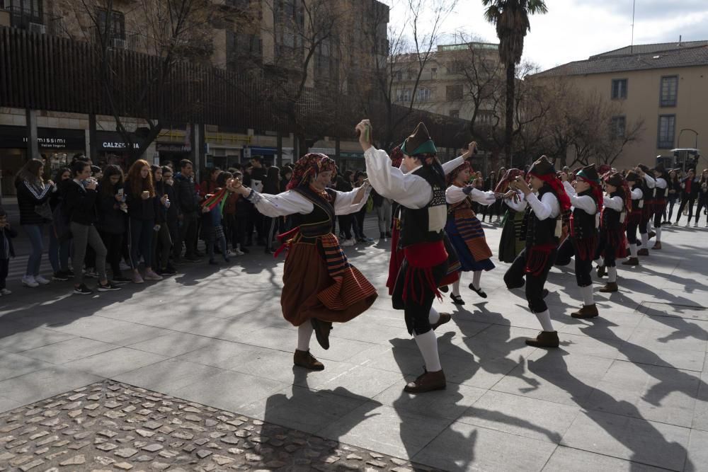 Operación Bocata en Zamora 2020.