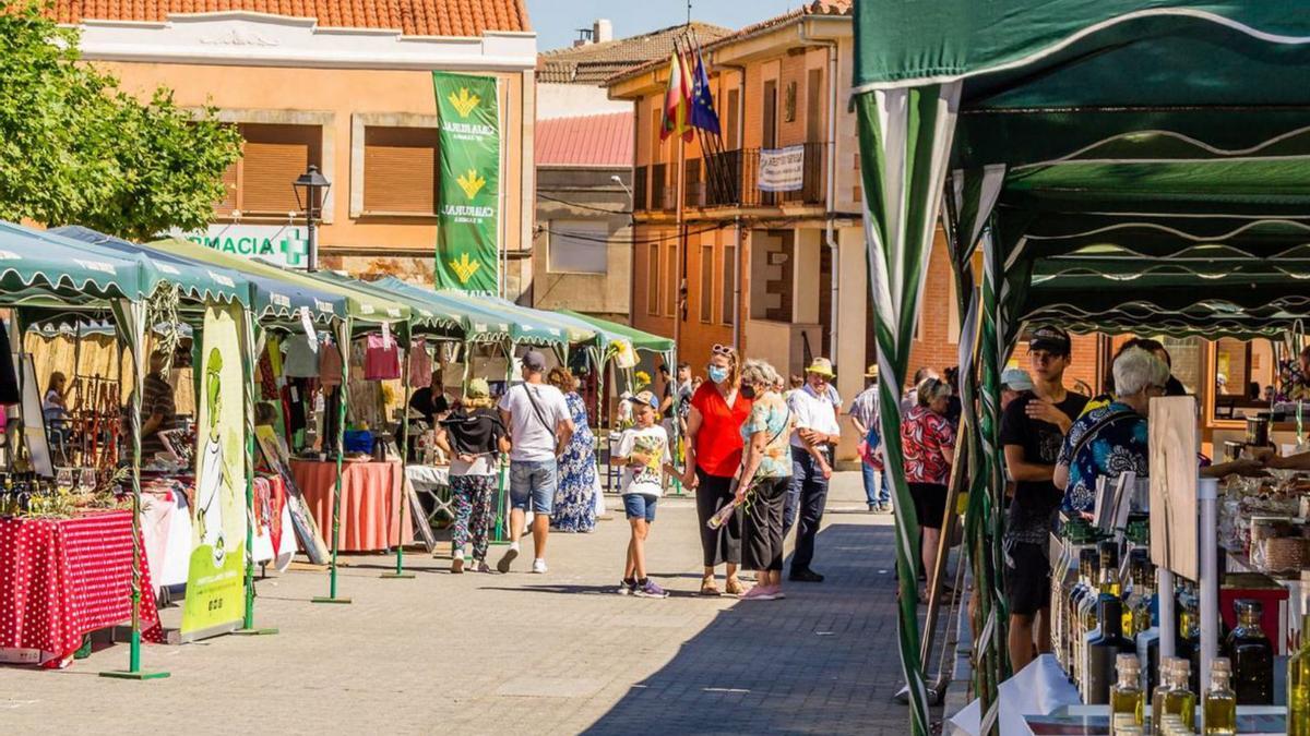 Puestos que recogen la artesanía y gastromomía de la comarca. | Chany Sebastián