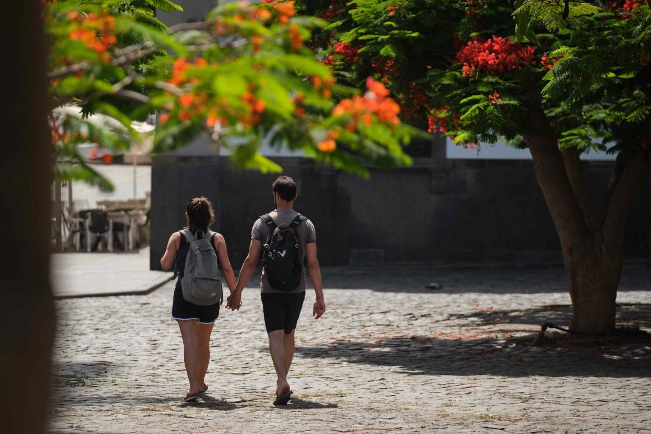 Ola de calor en Tenerife