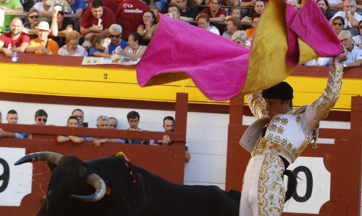 Jordi Pérez "El Niño de las Monjas" en la Algemesí durante las novilladas de 2019.
