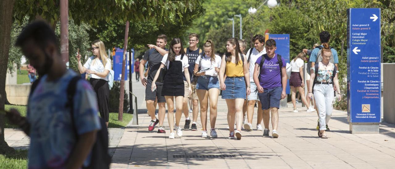 Primer día del curso este año en el campus de San Vicente de la Universidad de Alicante, el último del mandato como rector de Manuel Palomar.