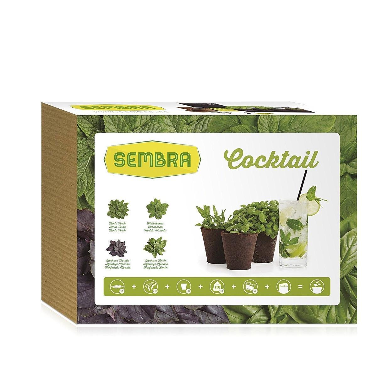 Kit para cultivarte tu propio mojito de Sembra