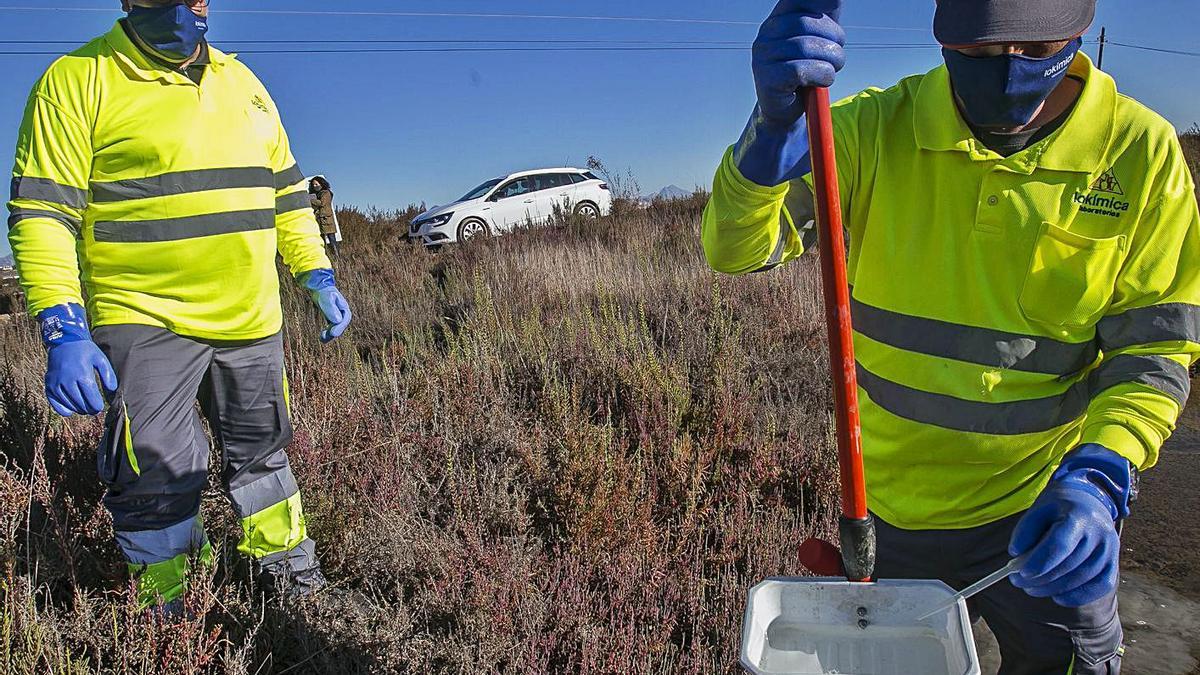 Toma de muestras en Agua Amarga para detectar larvas.