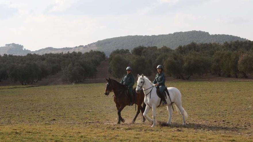 Dos agentes del equipo Roca de la Guardia Civil.