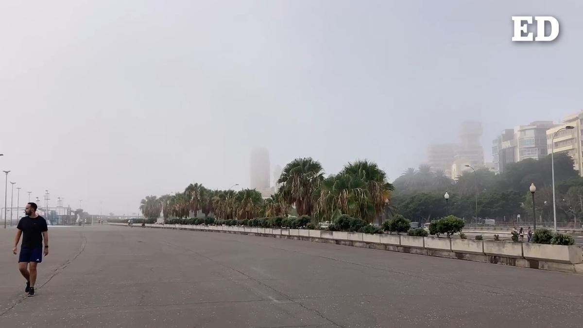 CALOR TENERIFE HOY: El calor sigue asfixiando a Canarias este martes