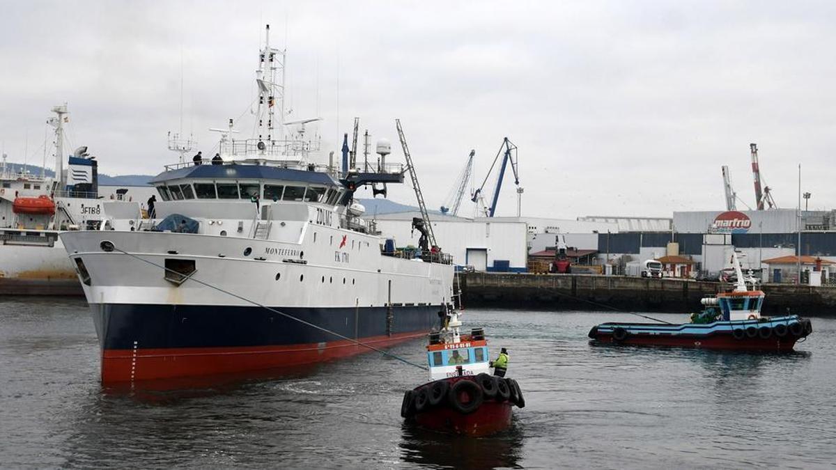 Flota gallega en el puerto de Marín.