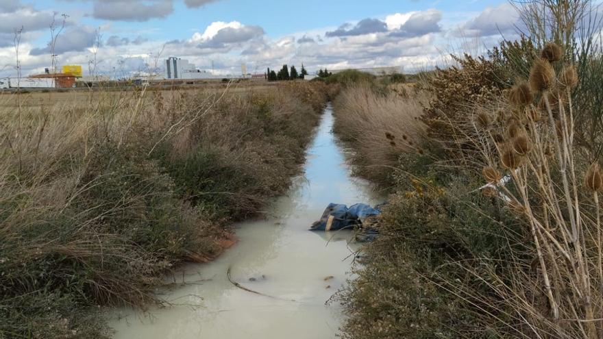 La Fiscalía investiga un vertido lácteo al Esla a través de un canal en Castrogonzalo