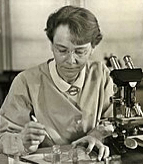 Barbara McClintock.