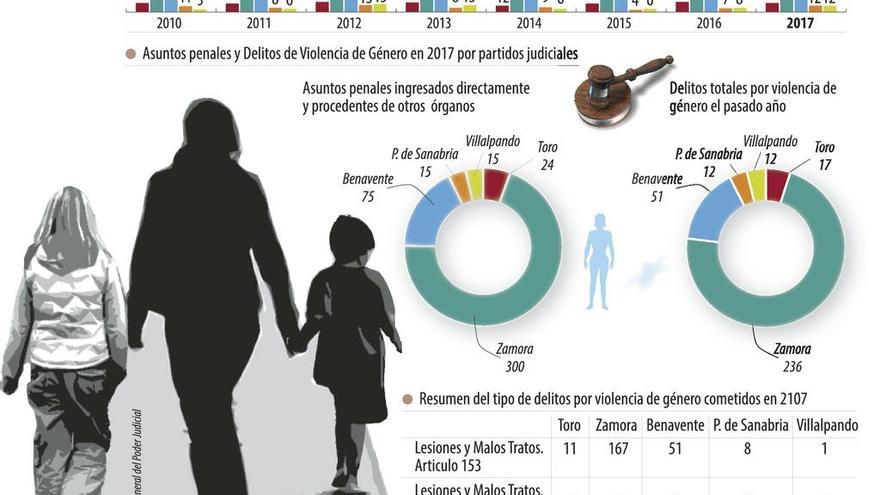 El número de mujeres víctimas de violencia de género desciende un 30% en la zona