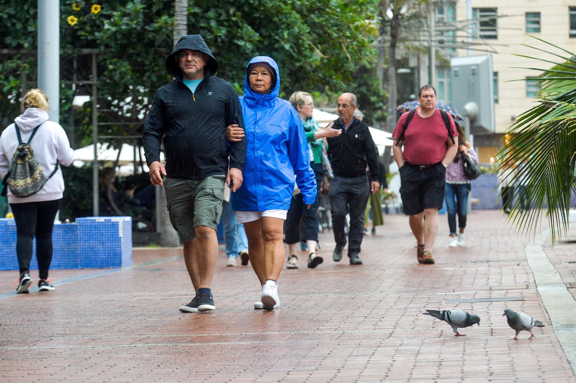 Tiempo en Las Palmas de Gran Canaria (7/12/2022)