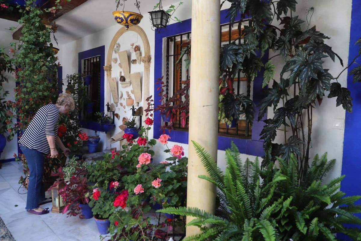 Los Patios de Córdoba: San Andrés (2)