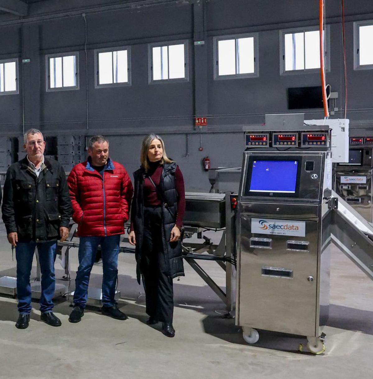 Los parques de cultivo de Carril. |  Noé Parga