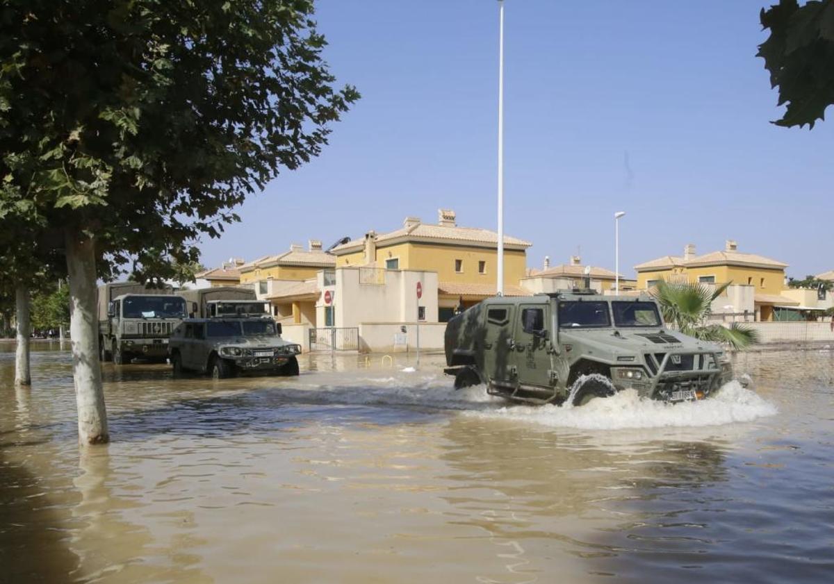 En directo: Los agricultores cifran en 550 millones las pérdidas en el campo de la provincia de Alicante