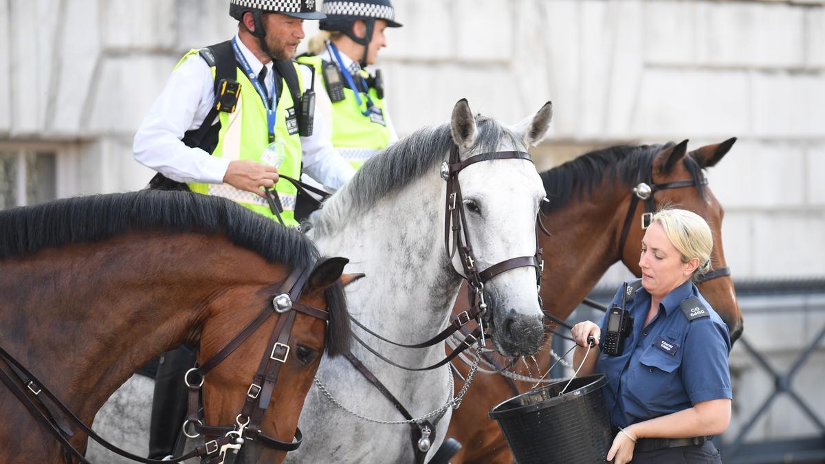 Una mujer policía da de beber a un caballo en Londres