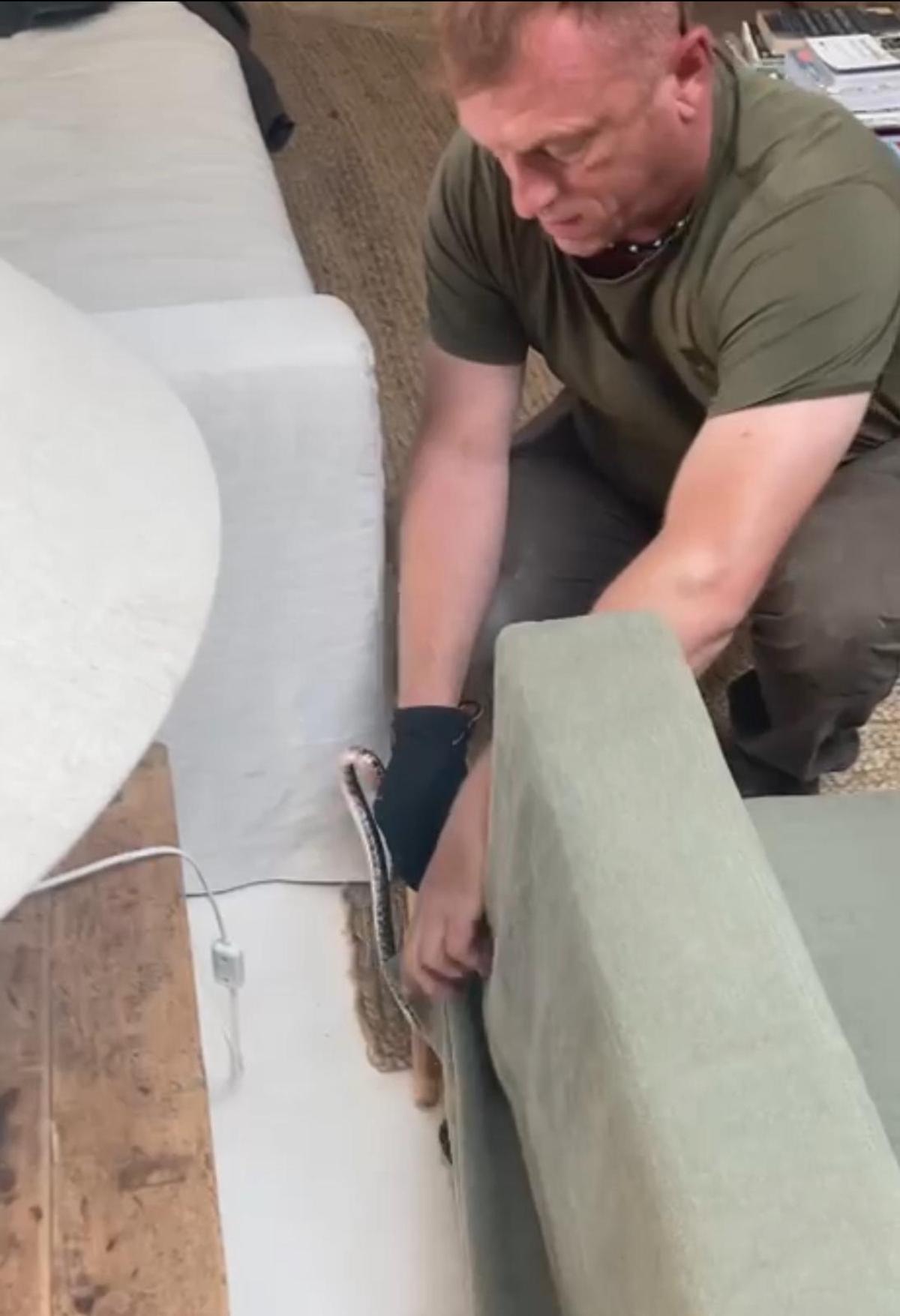 Dean Gallagher captura la serpiente bajo el sofá