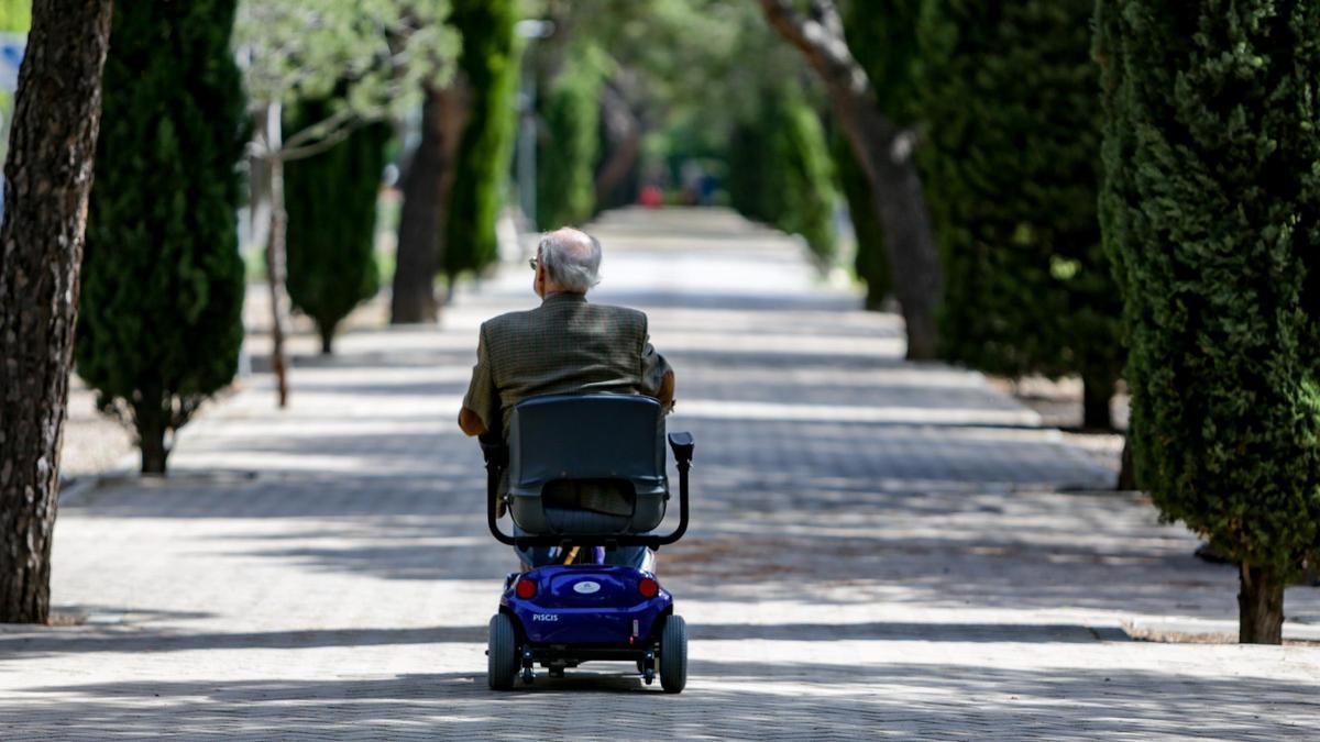 Una persona con movilidad reducida transita un parque.