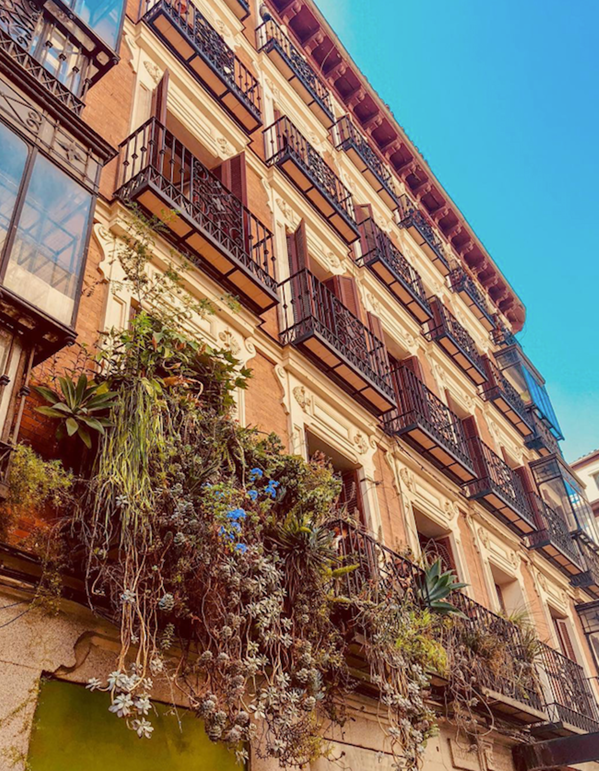 Área de Malasaña, Madrid