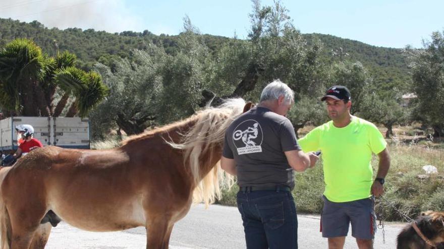 Un caballo y un perro rescatados por su propietario.