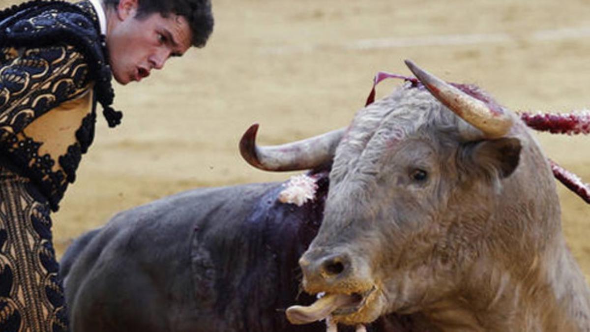 tendido cero televisión TVE