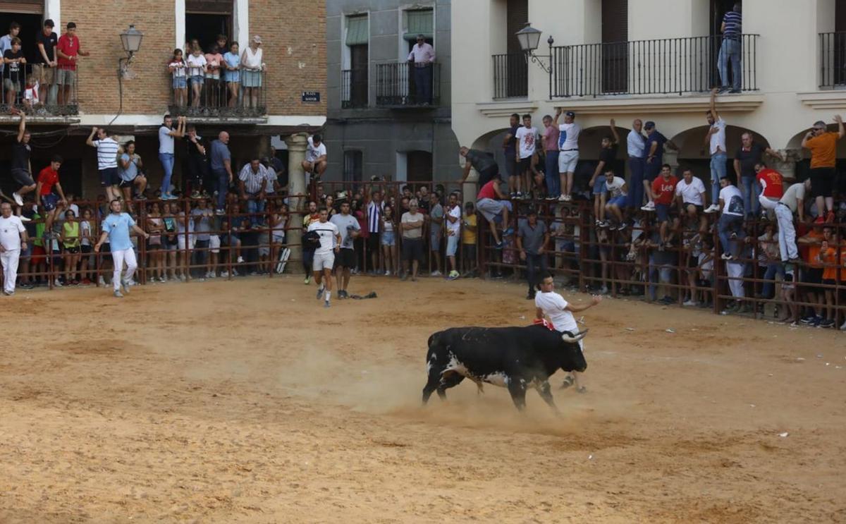 Un recorte y un capotazo a Contratado, el primero de los toros soltados ayer en la Plaz Mayor de Villalpando. | Ana R. Burrieza