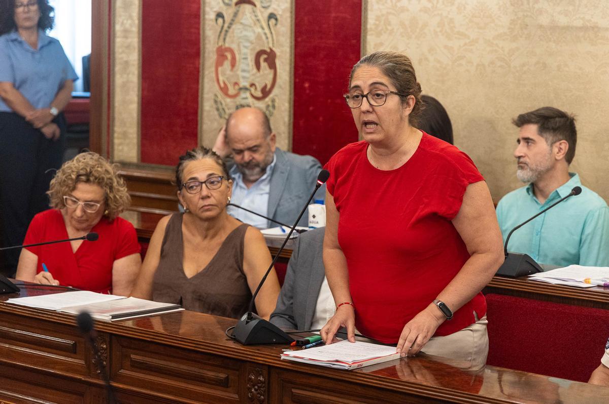 Las imágenes del Pleno Extraordinario del Ayuntamiento de Alicante