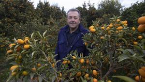 Vicente Todolí, en su propia creación: su jardín de cítricos en Palmera (Valencia).