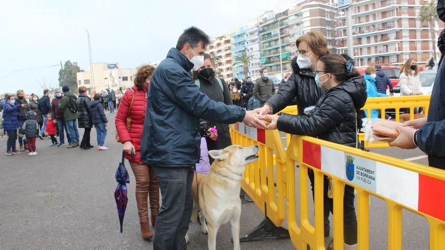 Amplia participación de mascotas en Burriana en el pasacalle para honrar a Sant Antoni