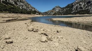 Angst vor Trockenheit auf Mallorca: Kaum ein Tropfen im regenreichsten Monat gefallen