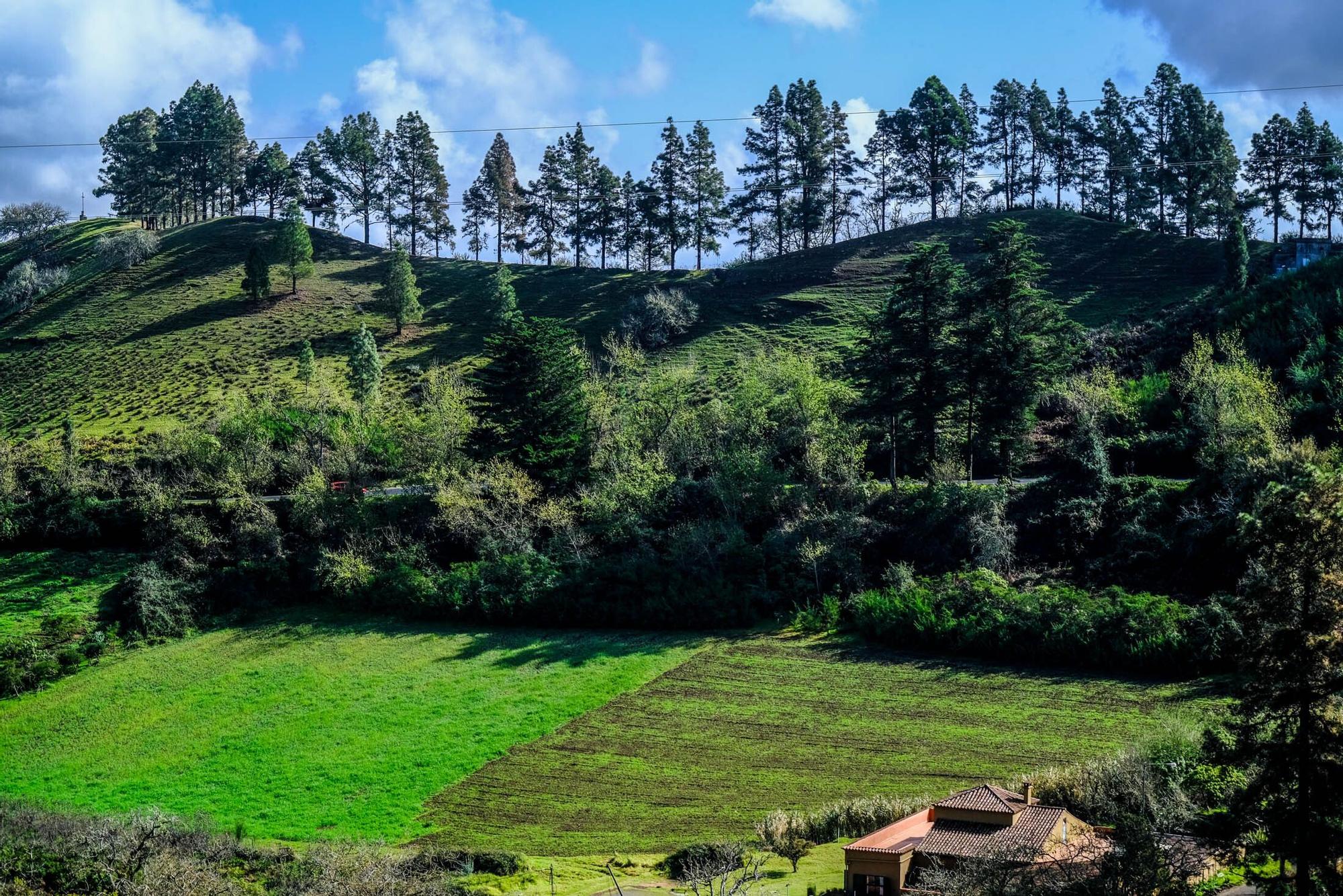 El tiempo en Gran Canaria (06/02/2023)