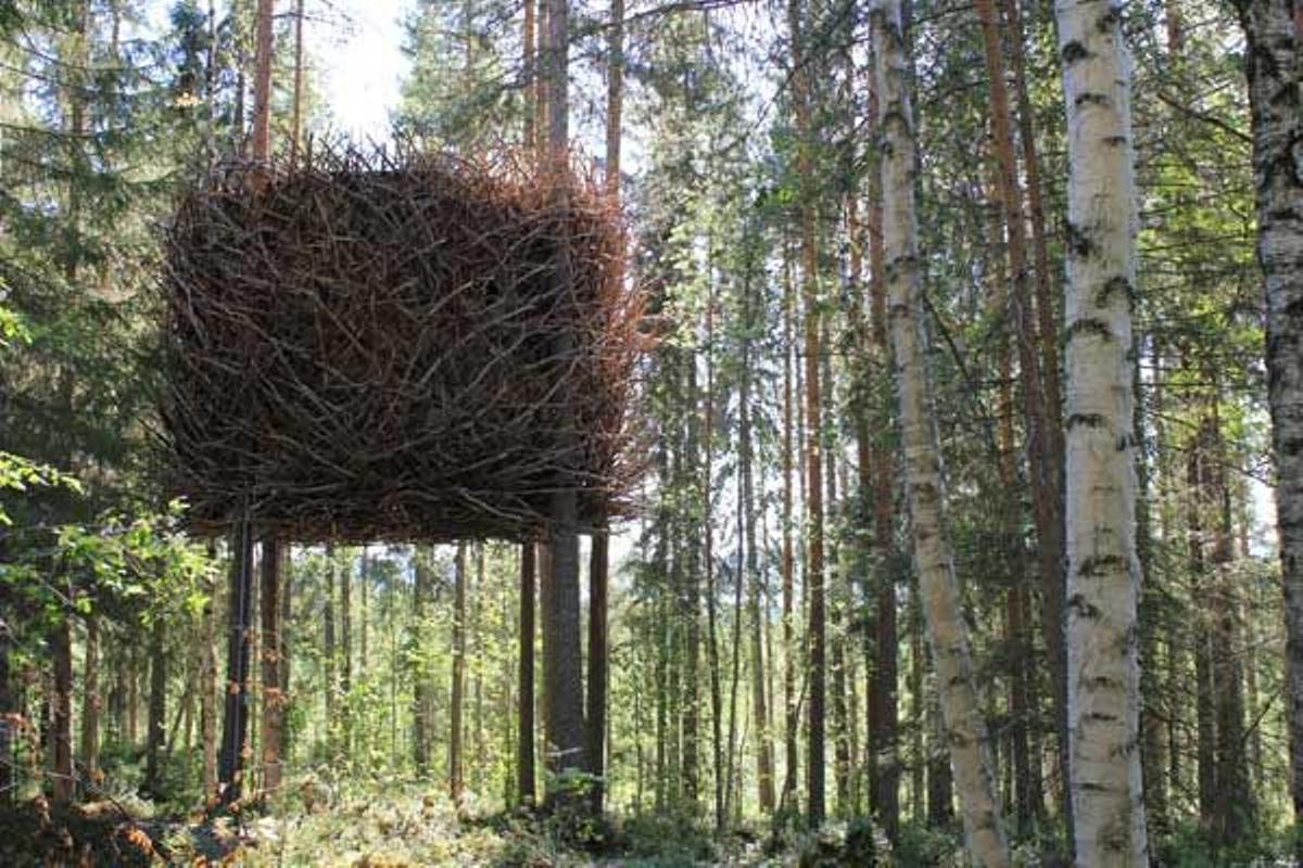 Tree Hotel