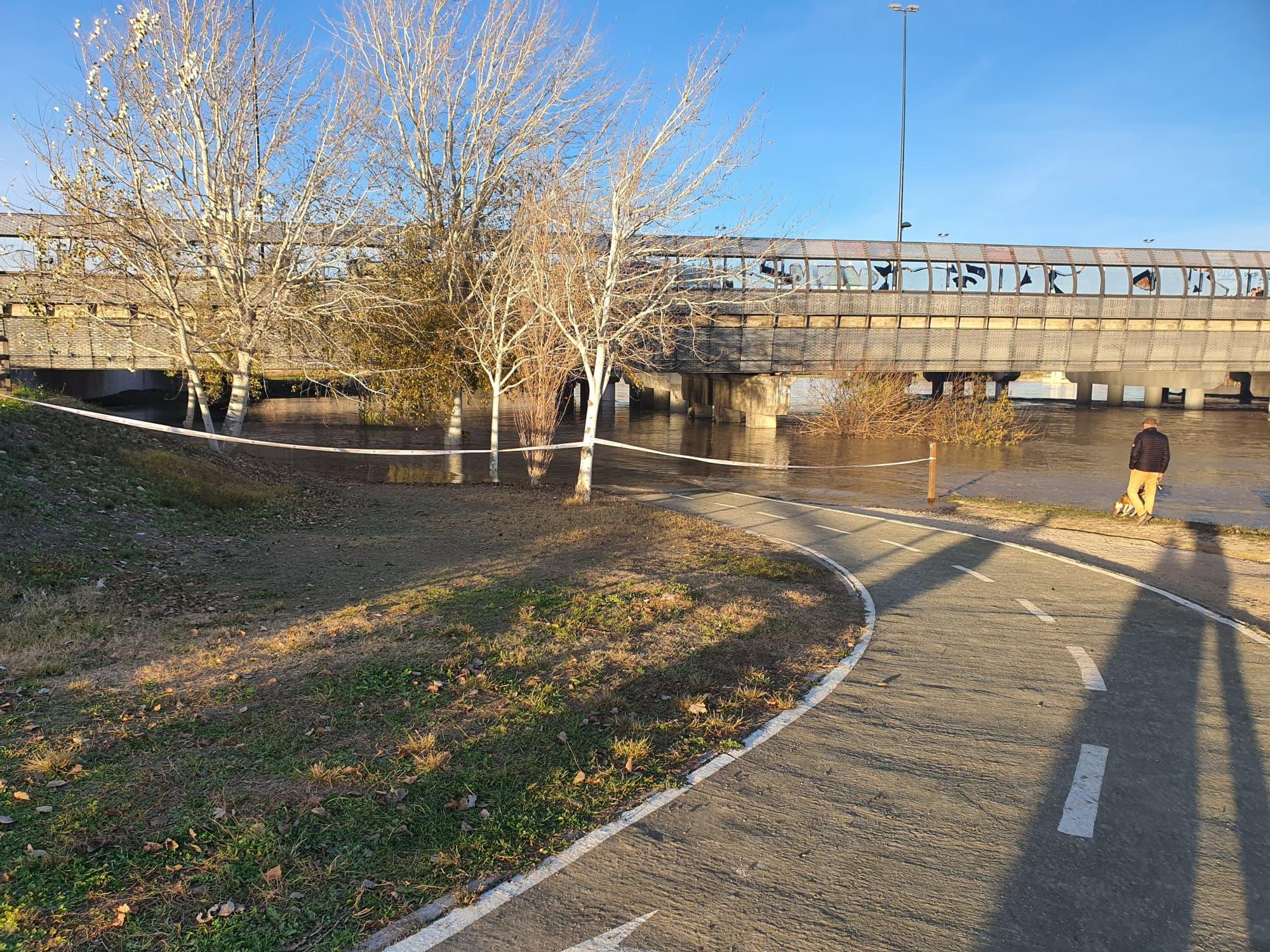 FOTOGALERÍA | El Ebro a su paso por Zaragoza -12 de diciembre de 2021