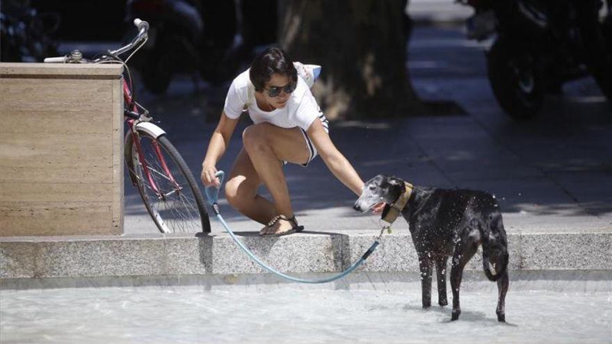 Aumento de las temperaturas, que será notable en Teruel y la Ibérica zaragozana