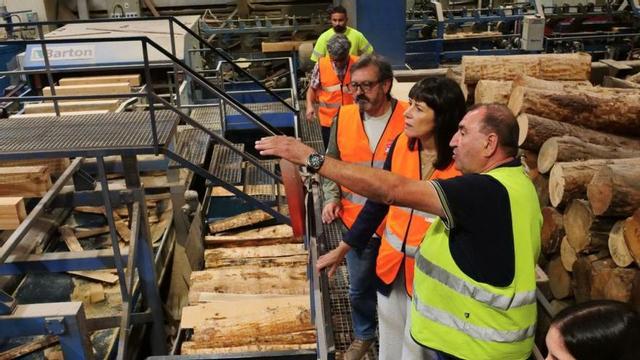 Un momento de la visita de Ana Pontón a Serrería Rodríguez. | FDV