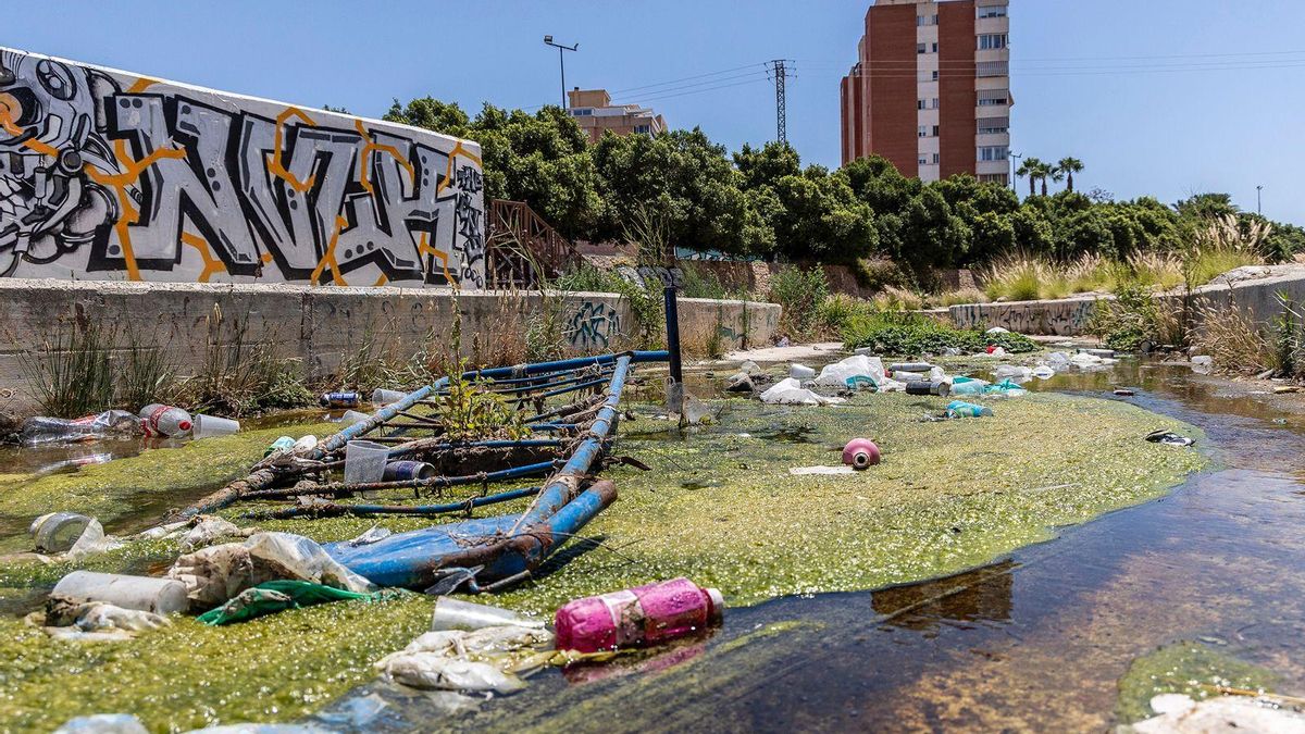 Preocupación por el mal estado del cauce del Juncaret en la Albufereta