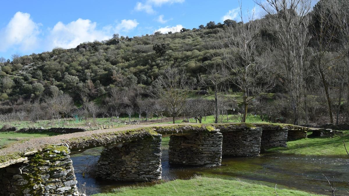 Puente en Fradellos