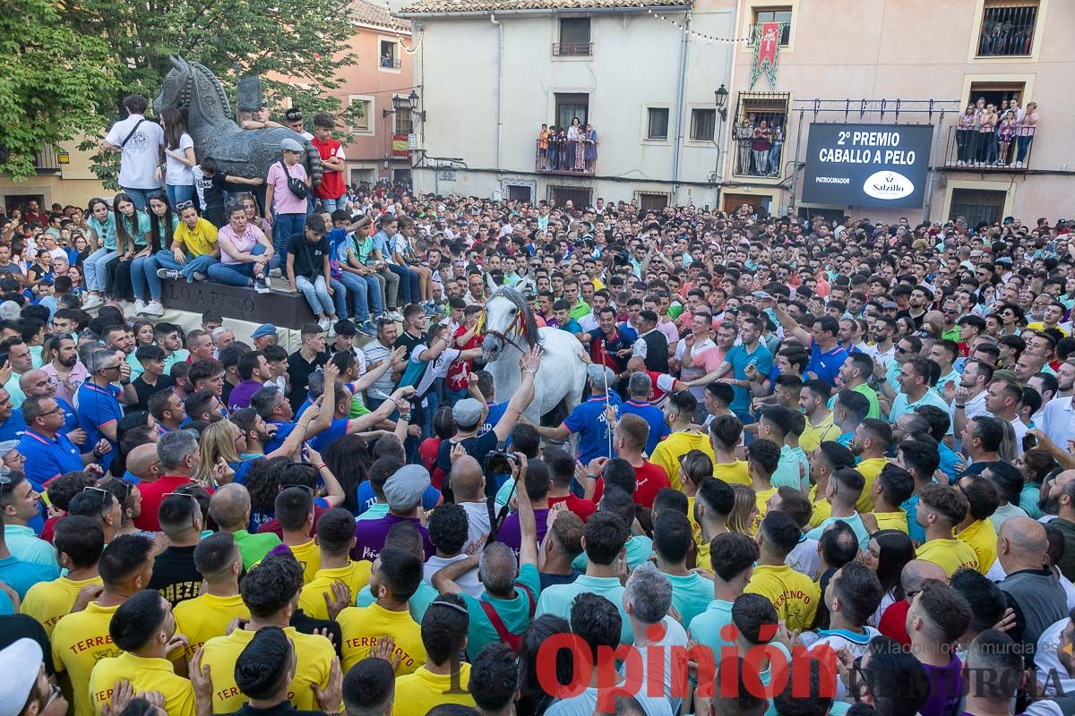 Entrega de premios del concurso morfológico de los Caballos del Vino de Caravaca