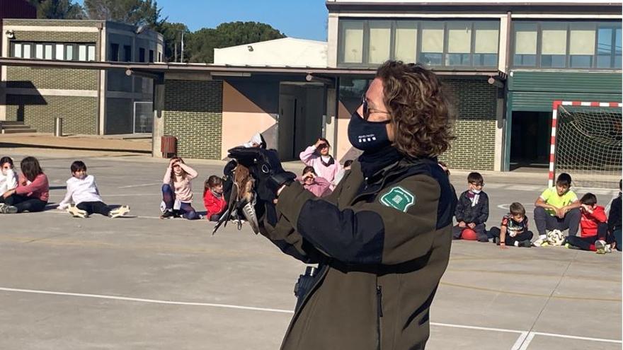 Un centenar d’alumnes de Navata participa en l’alliberament d’un xoriguer al pati de l’escola