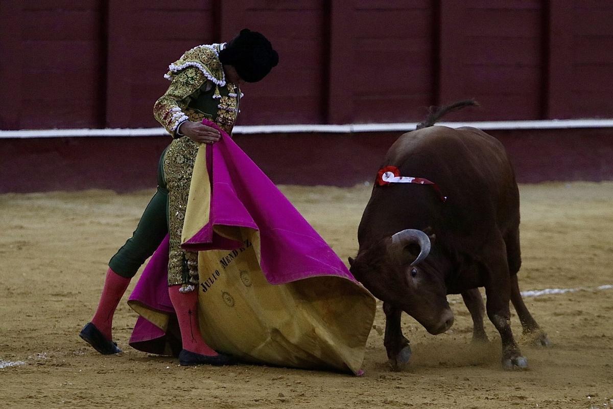 Novillada inaugural de la Feria Taurina