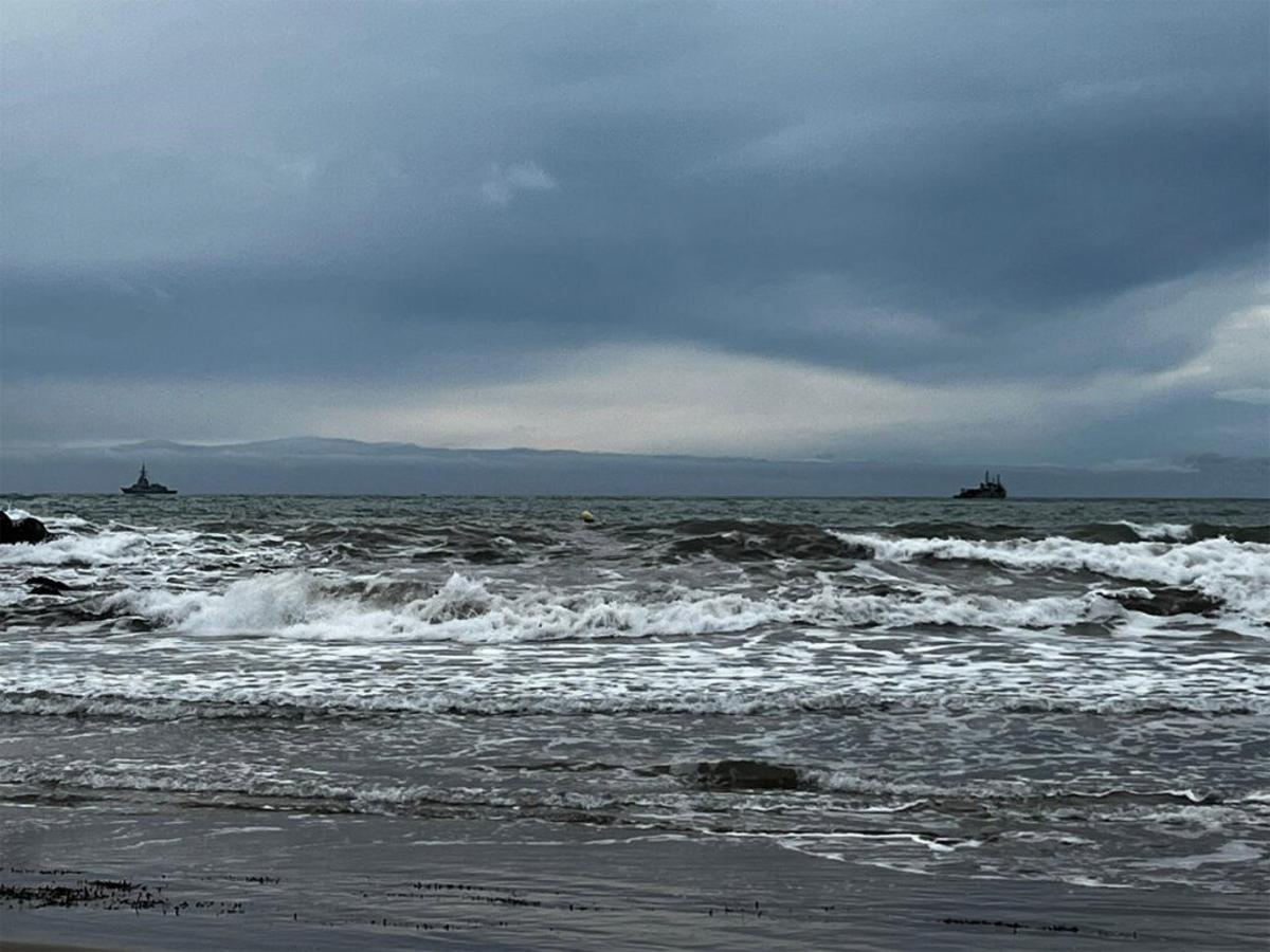 Buques militares en la había de Mazarrón fotografiados por ANSE durante el varamiento de los cetáceos