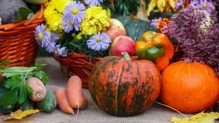 Qué plantar en octubre en el huerto en España: calendario, plantas y tareas importantes para este otoño