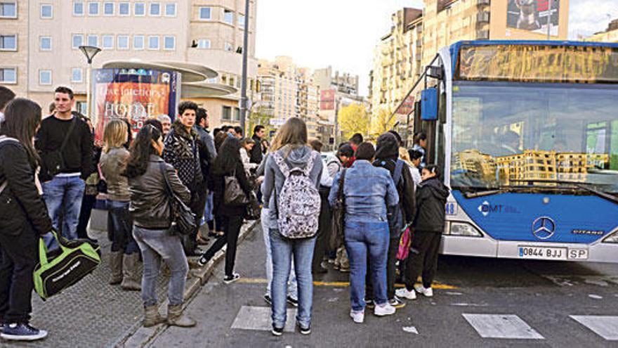 En contra de que los perros suban al bus