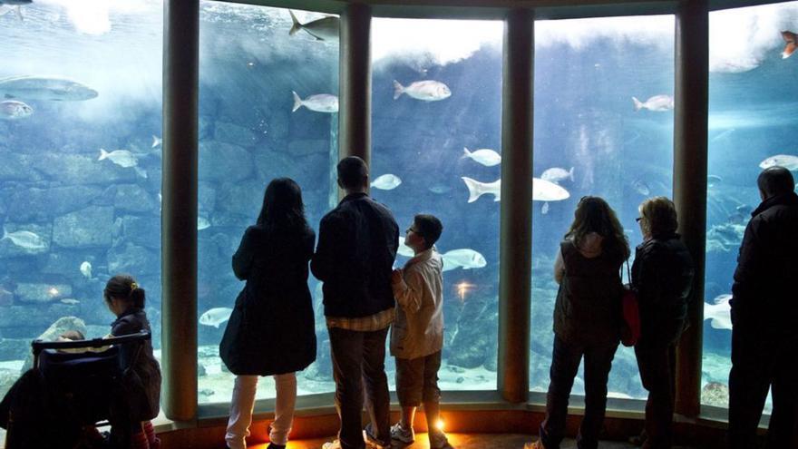 Visitantes en el Aquarium Finisterrae.   | // FRAN MARTÍNEZ