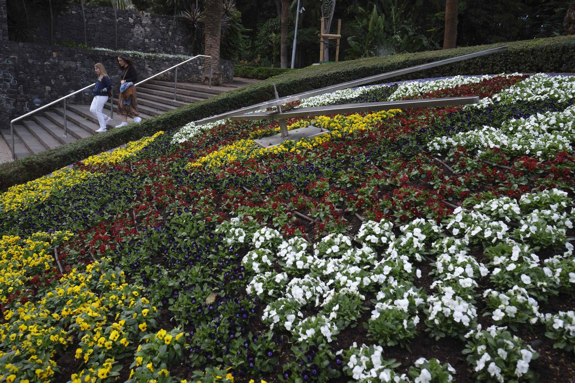 Paseo covid en Santa Cruz de Tenerife