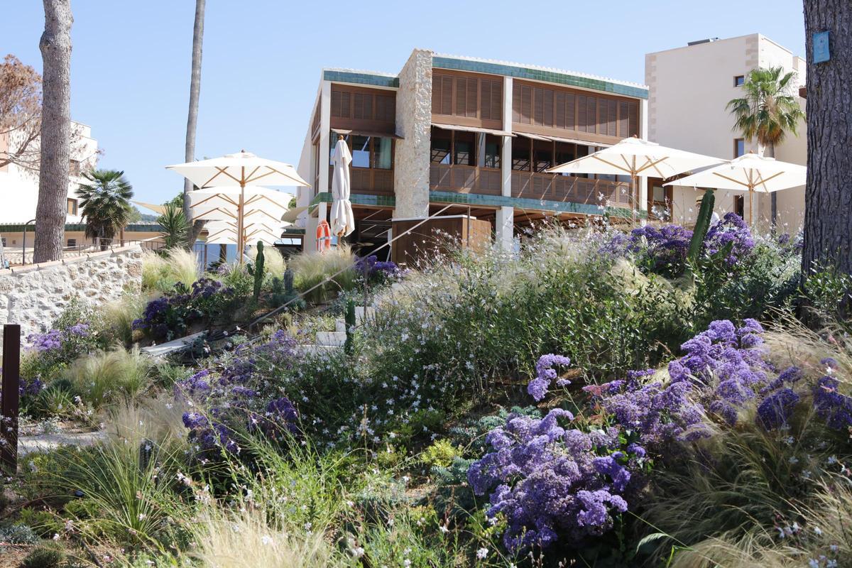 Neue Form des Luxus: das Mandarin Oriental Hotel in Punta Negra