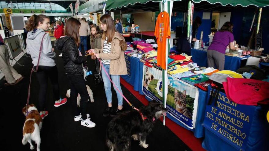 Los perros fueron los protagonistas en La Magdalena